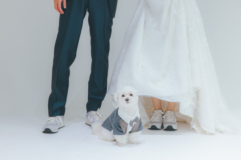 どんな犬種でもどんな動物でも