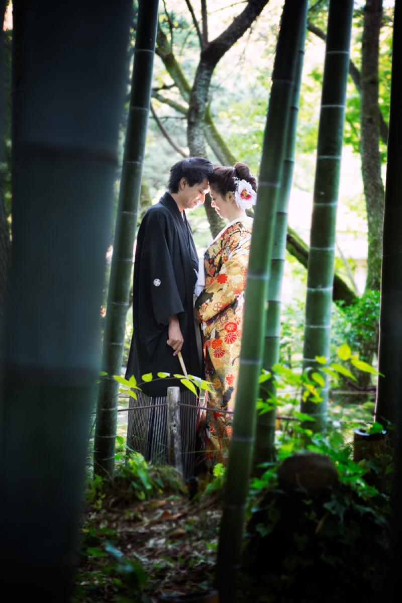 やわらかい光に包まれて