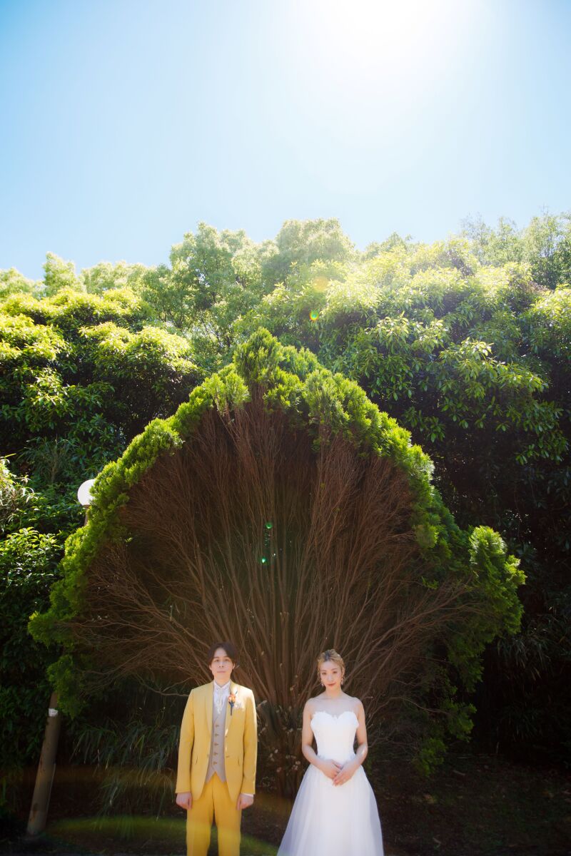 変わった形の木の前で