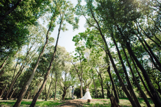 ロケーション撮影　Photo by INO