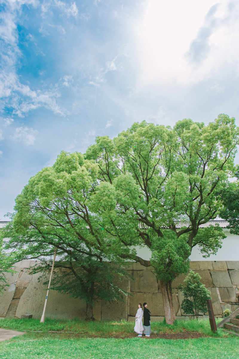 晴れの日らしく爽やかに！