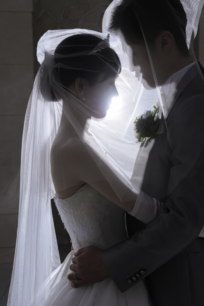 シルエット風に