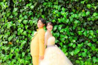 テーマカラーはイエロー photo by SHOTA