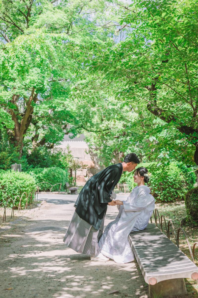 新緑からの木漏れ日を