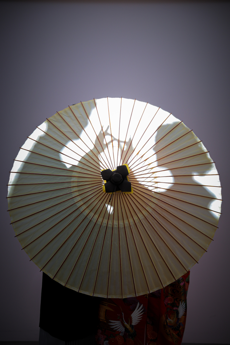 和傘シルエット