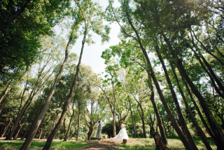 ☆緑や季節の花に彩られた庭園でロケーションフォト☆