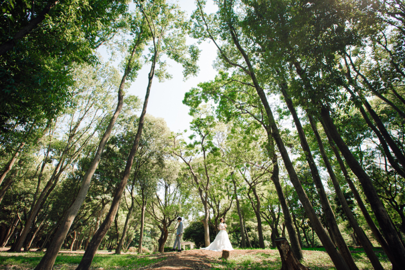 ワタベウェディング大阪フォトスタジオ_庭園で撮影できる