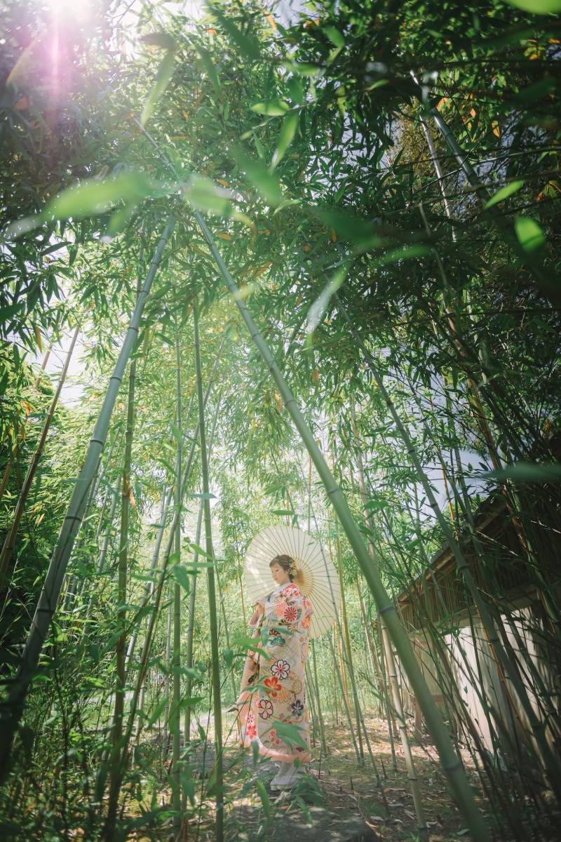 藤田邸庭園内の竹林にて