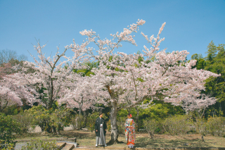 【春のロケーションフォト】人気の春撮影はお早めに！　撮影全データ付き