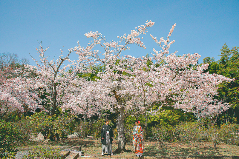 【春のロケーションフォト】人気の春撮影はお早めに！　撮影全データ付き