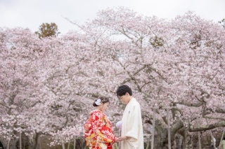 チャペル&桜ロケ