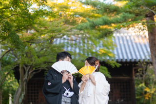 秋の光に照らされて