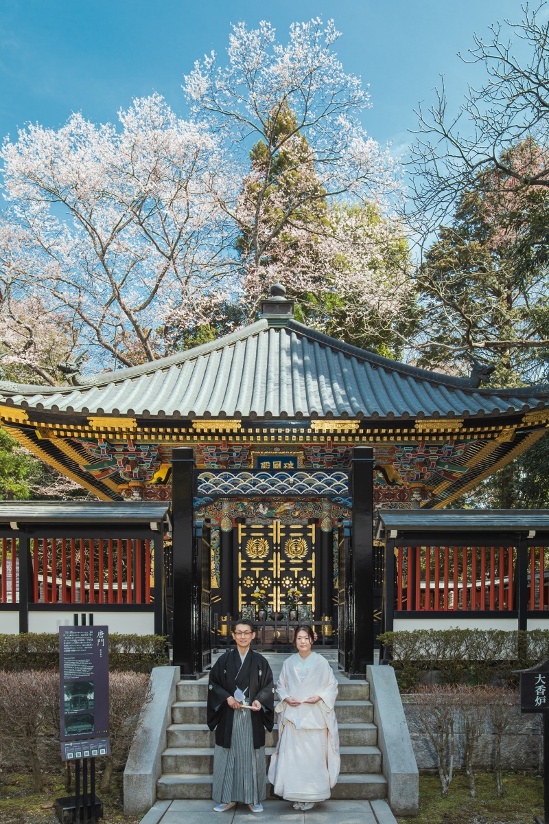 4月上旬は桜もあります♪