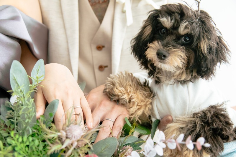 大事な家族と一緒に♪