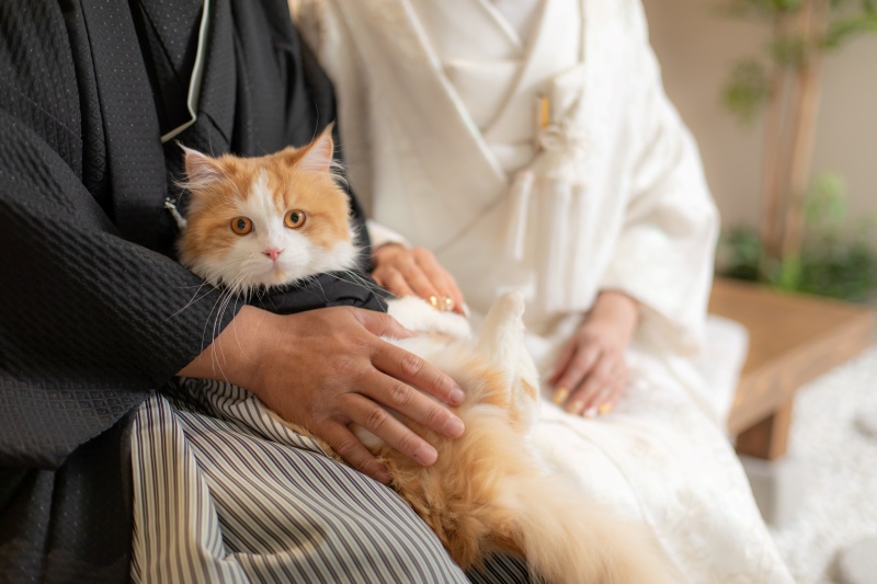 ワタベウェディング仙台フォトスタジオ_ペットと一緒に撮影できる