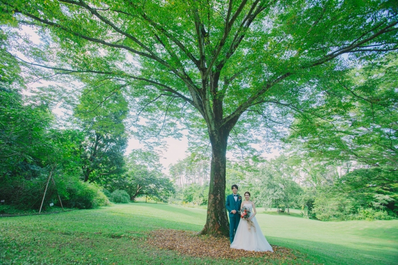 ★11月末まで3万円オフ★野草園/秋のロケーションプラン(洋装1着)