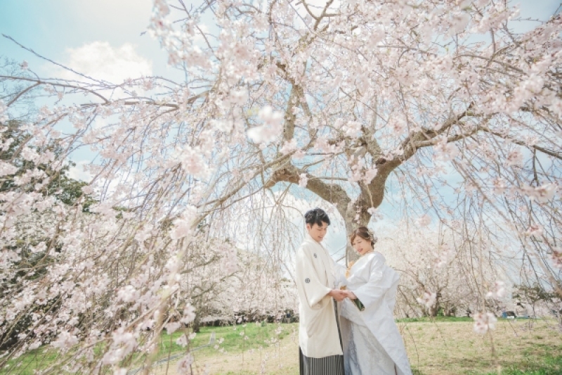 【春のロケーションフォト】人気の春撮影はお早めに! 撮影全データ付き