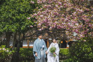 【春のロケーションフォト】人気の春撮影はお早めに！　撮影全データ付き