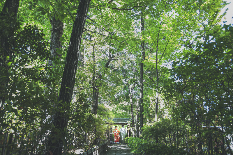 【年内のご撮影限定で¥74,800オフ】スタジオ&六幽庵 2着フォトプラン