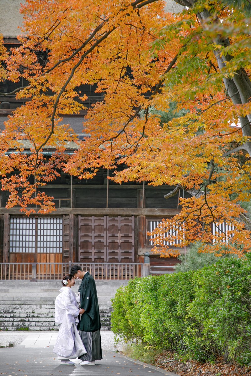 紅葉映えの撮影スポットが続きます