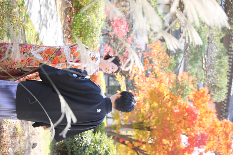 ススキ越しのおふたり