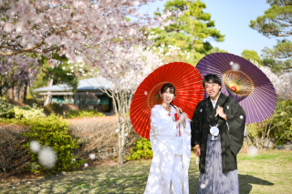 善光寺桜ロケーション