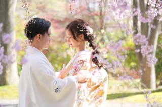 Location / 善光寺 -Cherry blossoms-