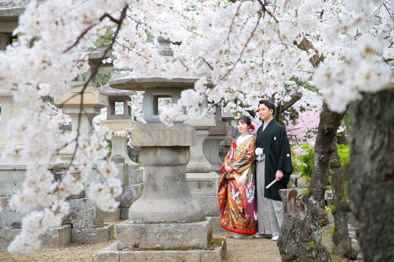 善光寺、桜ロケーション