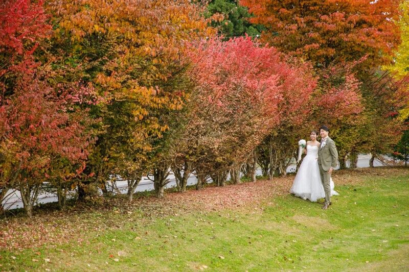 こちらも見事な紅葉です。