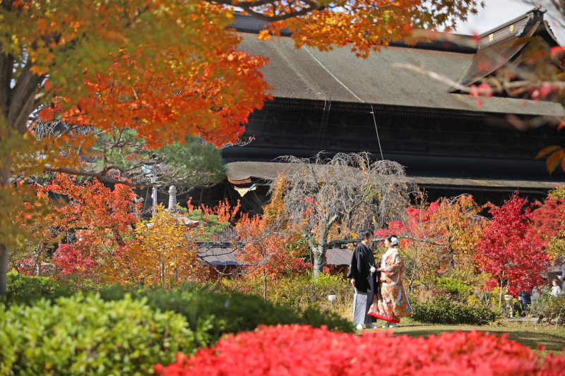 紅葉に囲まれて