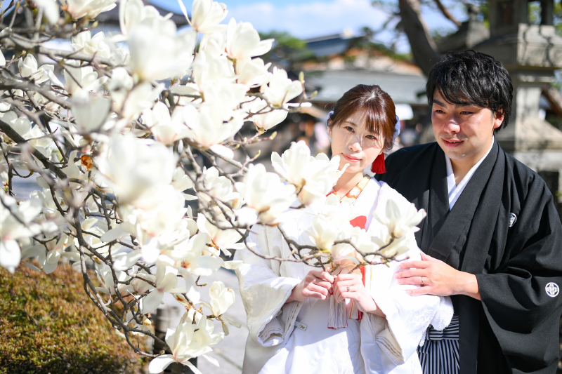 桜以外のお花も満開でした!
