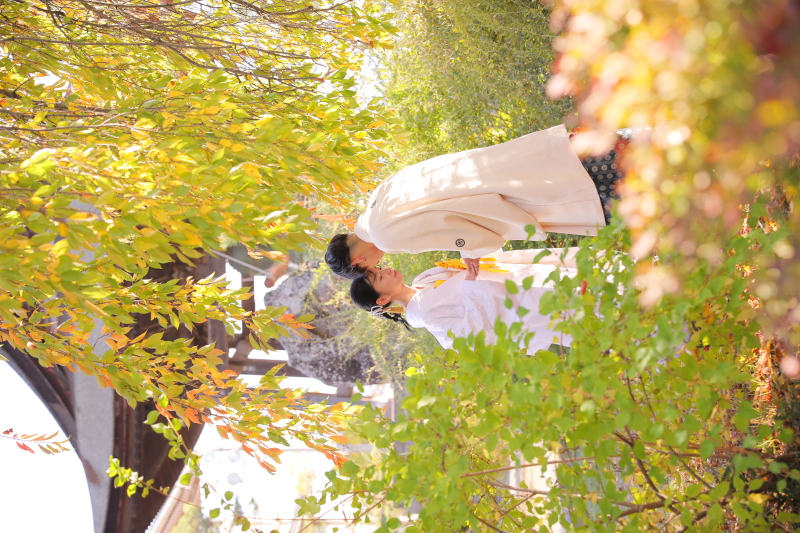 Location / 善光寺 -Autumn leaves-
