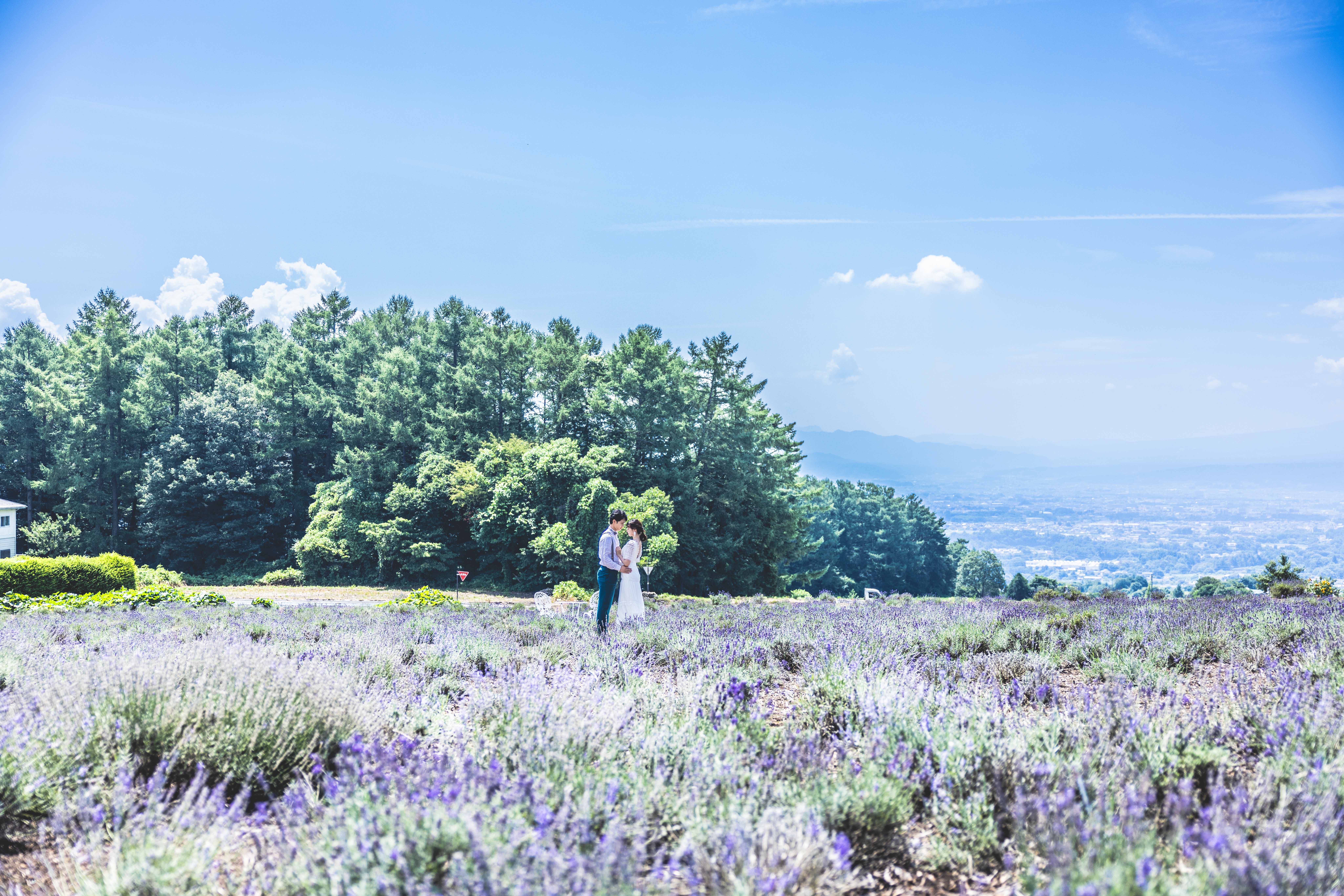step1 事前来店・お問合せ