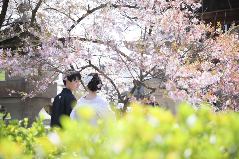 お花畑