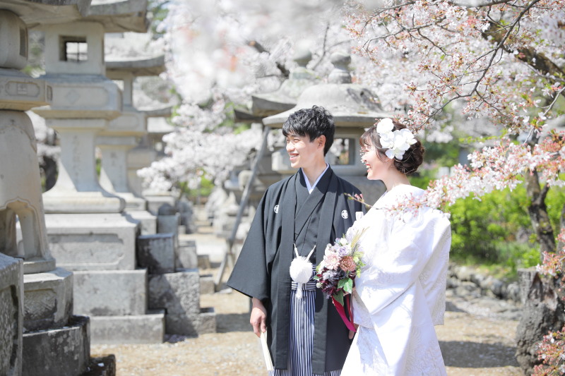桜ロケのご予約