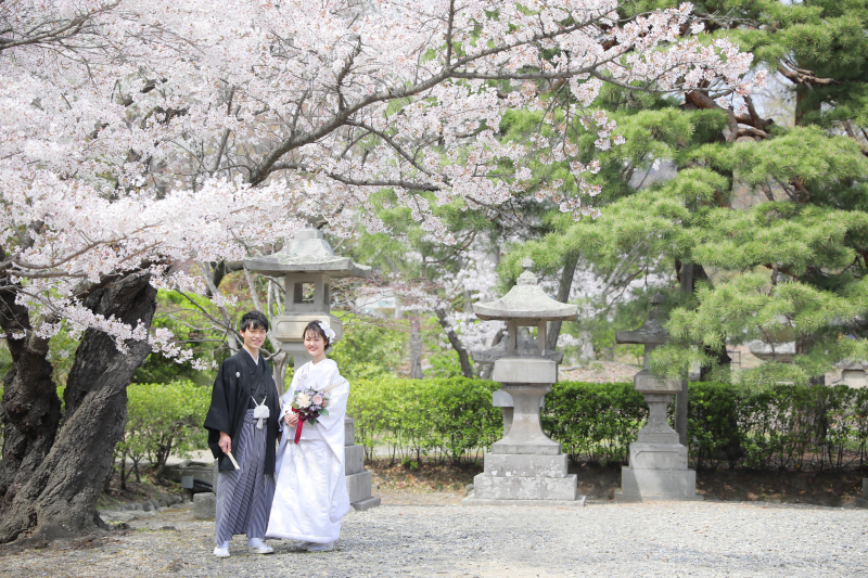 桜ロケーション