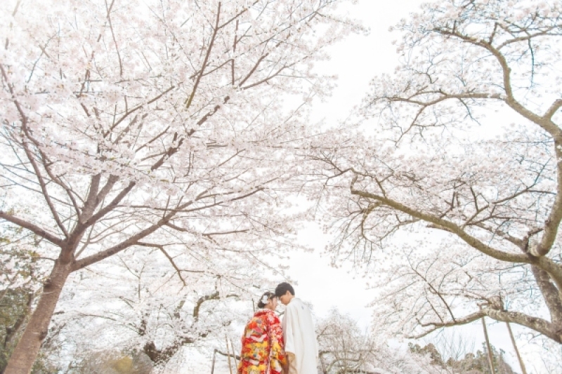 【春のロケーションフォト】人気の春撮影はお早めに！　撮影全データ付き