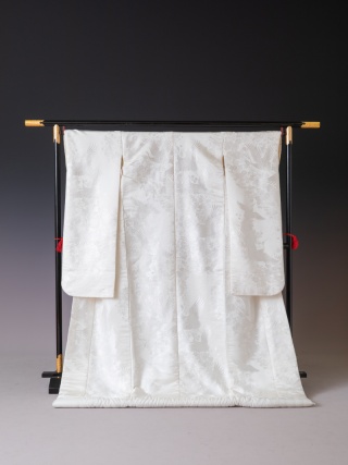 Q　小柄鶴花　ピンクラメ