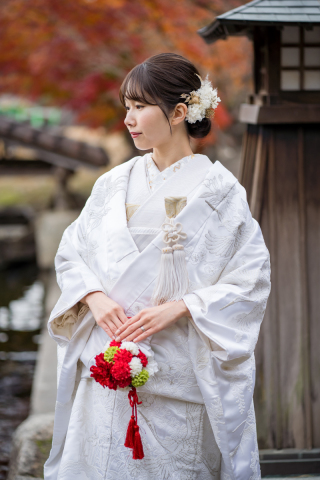 白地　珠刺繍鶴にシルバー