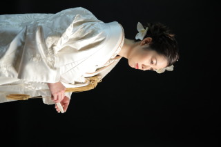 白地　鶴・枝垂桜