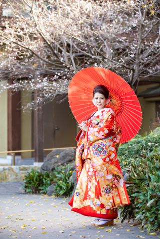 赤地ピンク牡丹におしどり