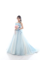 ブルーガーベラ