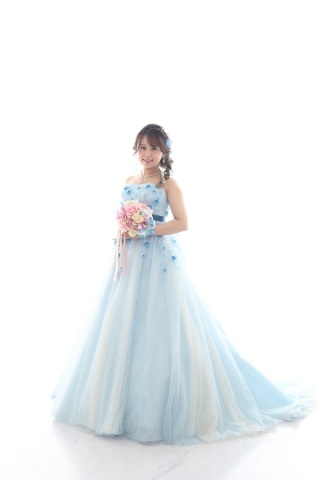 ブルーガーベラ