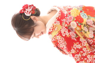 色打掛　聚宝桜花文