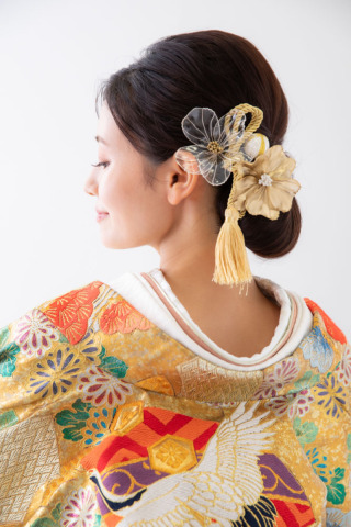 ゴールド地　赤黒　古典柄