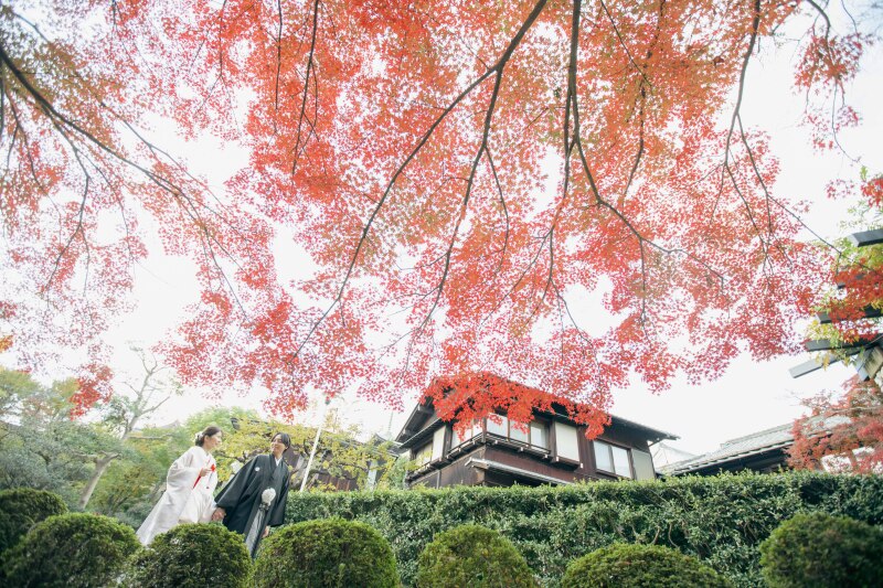 紅葉のトンネル