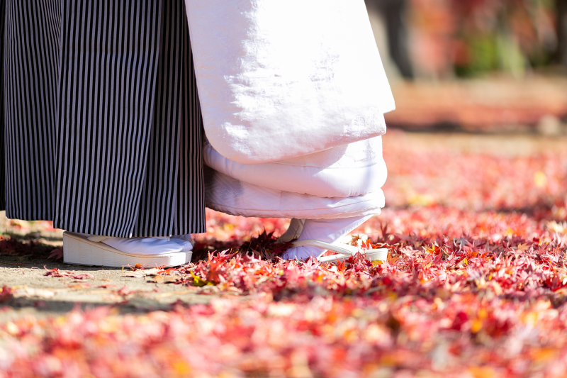 ドンピシャ紅葉！！！