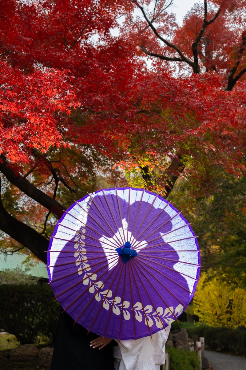 和傘のシルエット