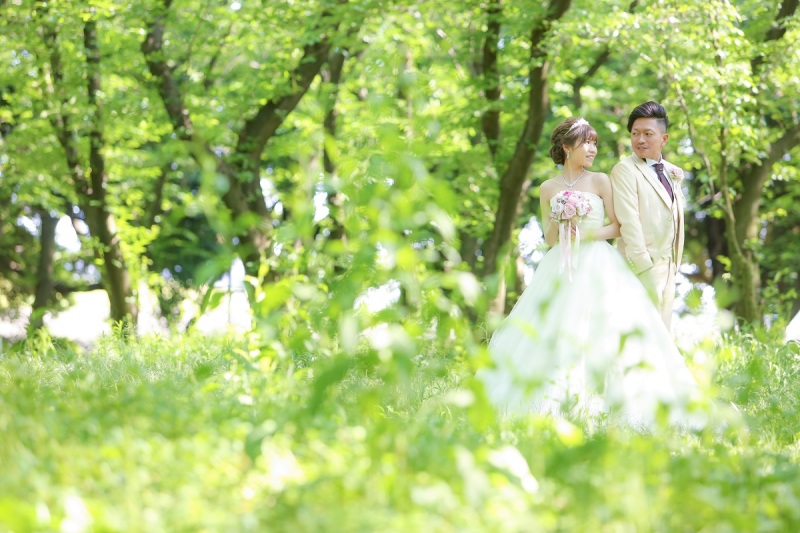 青々しい緑がまぶしい♪