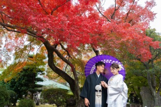 名古屋城　紅葉ロケ